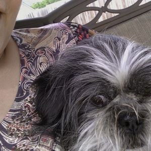 Meet your Posher, Sandra